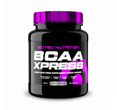 BCAA XPRESS 500G 